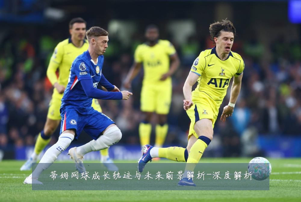 蒂姆网球成长轨迹与未来前景解析-深度解析