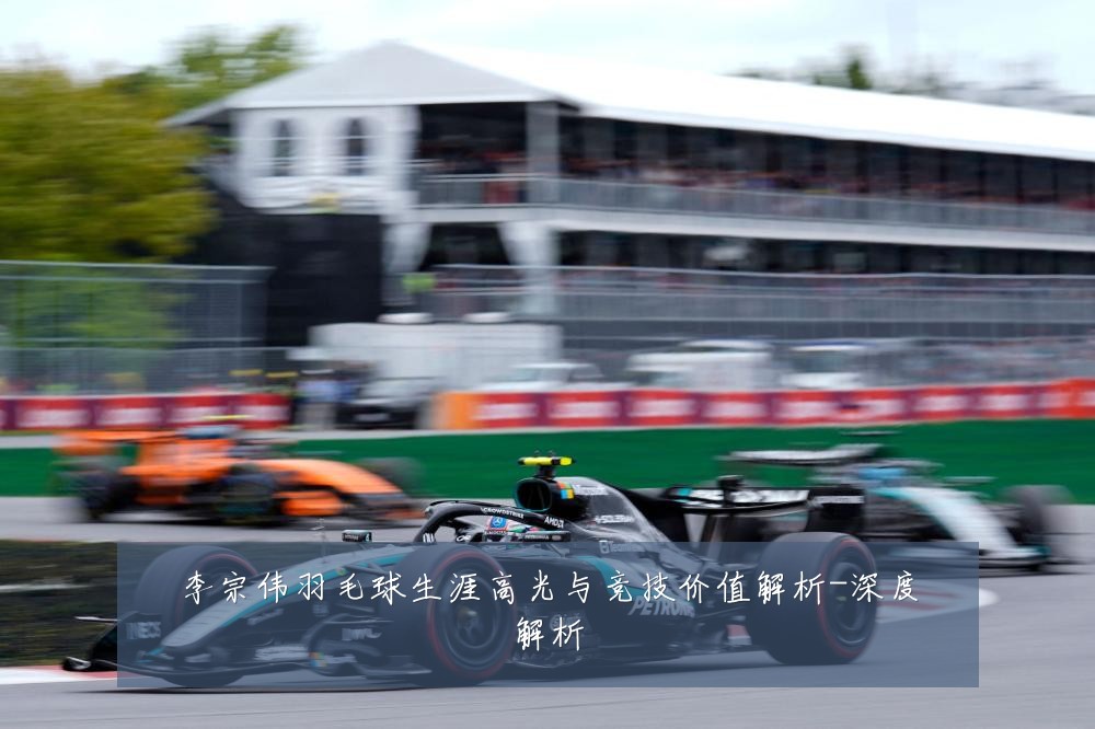李宗伟羽毛球生涯高光与竞技价值解析-深度解析
